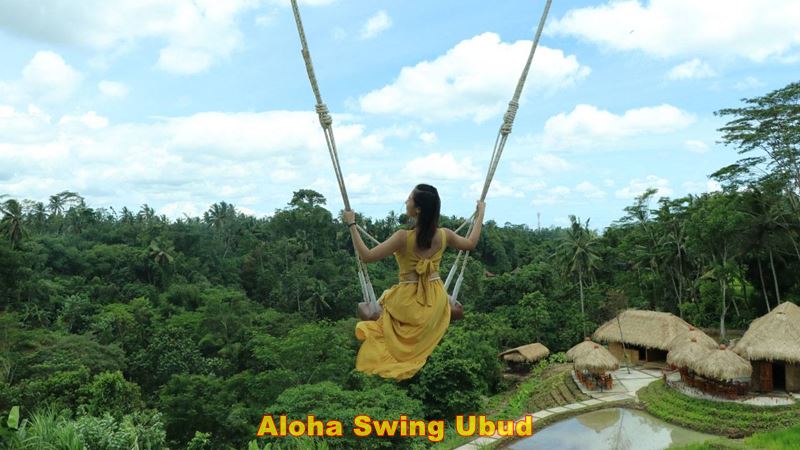 Lazy Cave River Tubing + Aloha Swing Tour 6