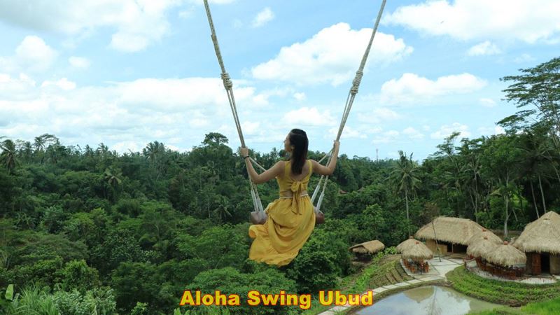 Lazy Cave River Tubing + Aloha Swing Tour 5