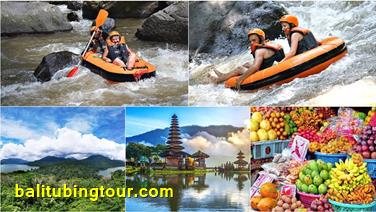 Ayung River Tubing Combination Packages 6