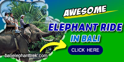 Things To Do in Bali 2