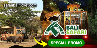 Things To Do in Bali 5