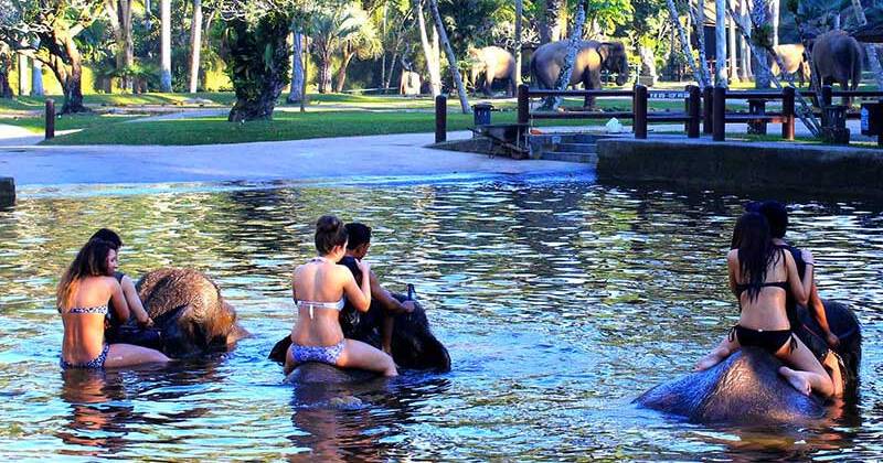 Pakerisan River Tubing + Bathing Elephant Tour 4