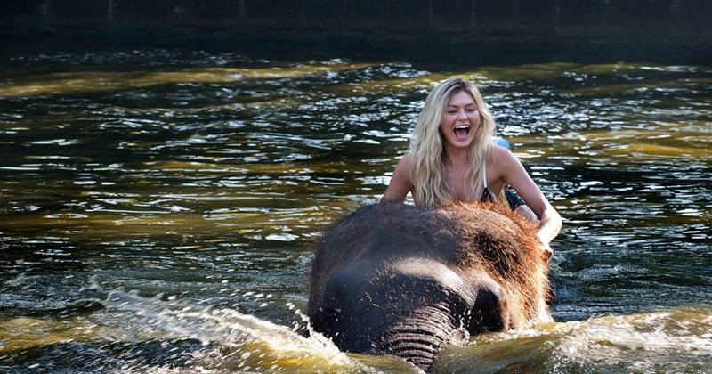 Ayung River Tubing + Bathing Elephant Tour 4