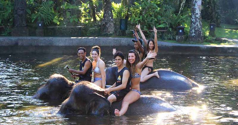Ayung River Tubing + Bathing Elephant Tour 5