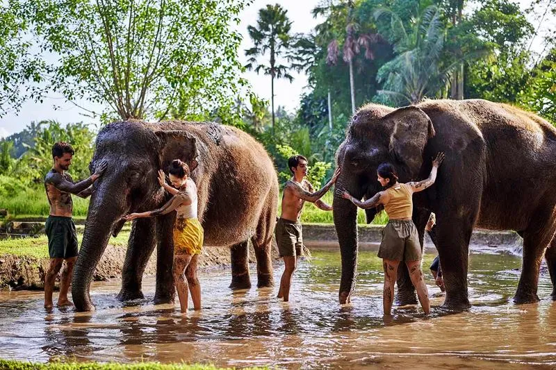 Lazy Cave River Tubing + Elephant Mud Fun 3