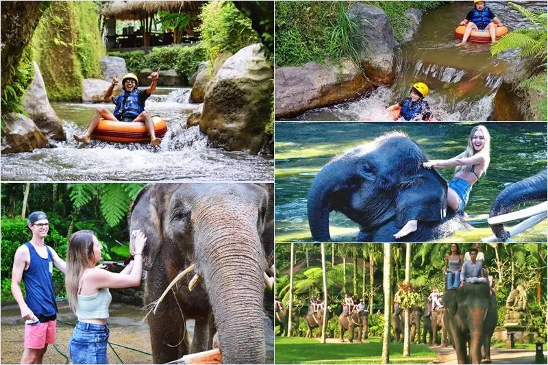 Lazy Cave River Tubing + Bathing Elephant Tour 19