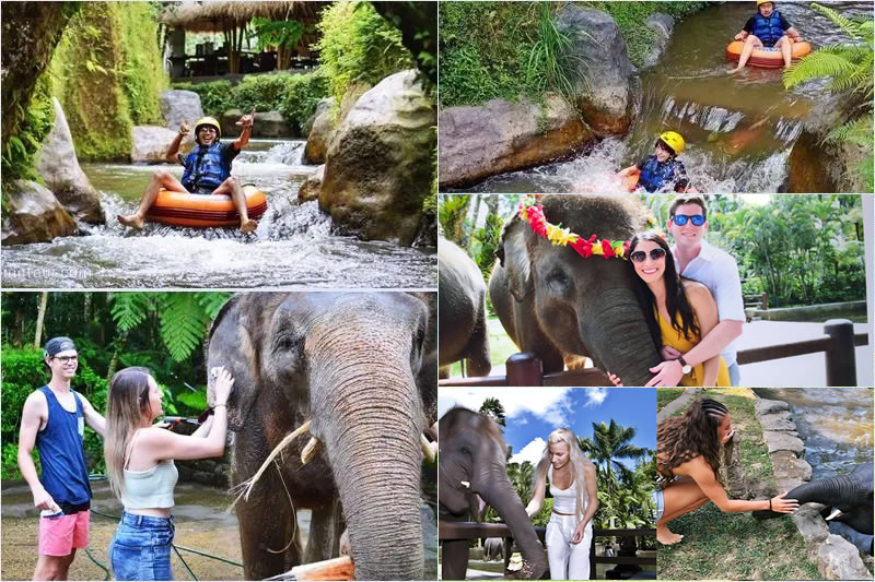 Lazy Cave River Tubing + Elephant Washing Tour