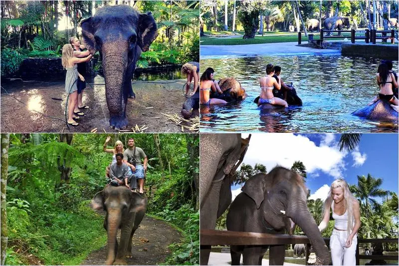 Wos River Tubing + Bathing Elephant Tour 5