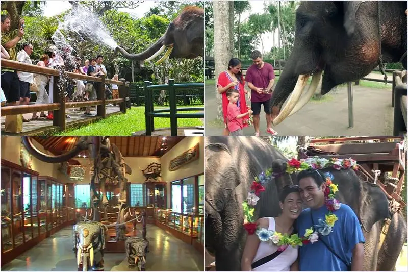 Wos River Tubing + Mason Elephant Sanctuary Park Visit 5