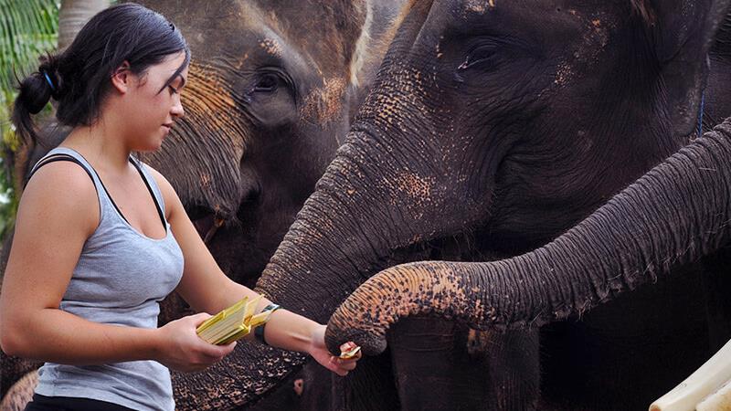 Lazy Cave River Tubing + Elephant Ride Tour 4