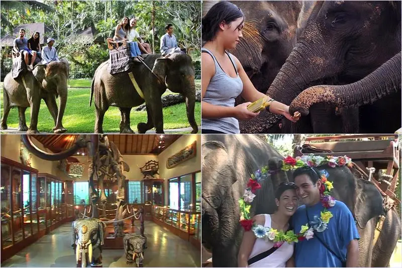 Wos River Tubing + Elephant Ride Tour 5