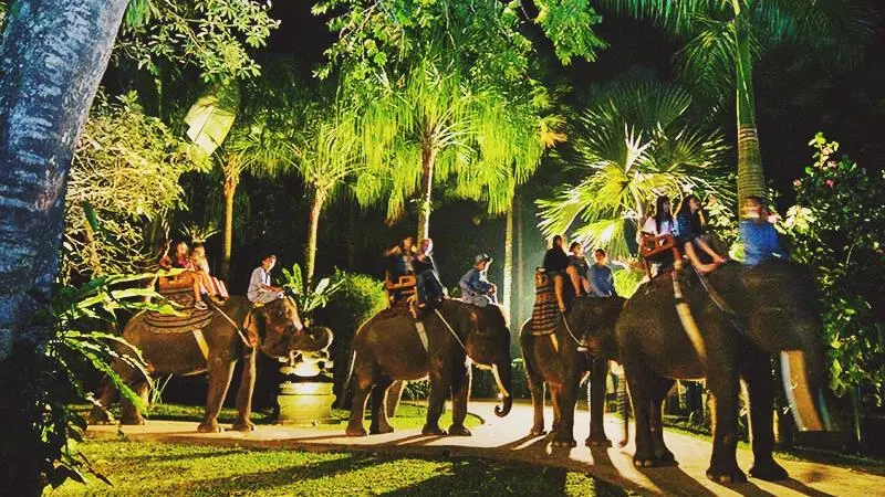 Lazy Cave River Tubing + Elephant Safari Under Star 6