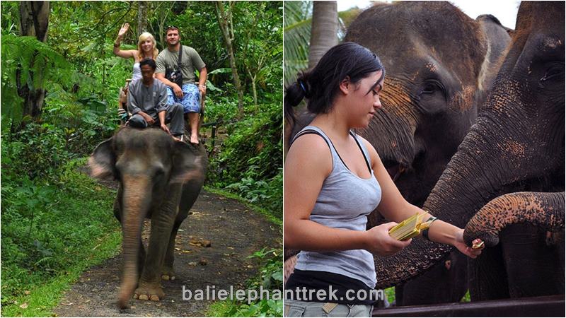 Lazy Cave River Tubing + Bathing Elephant Tour 4