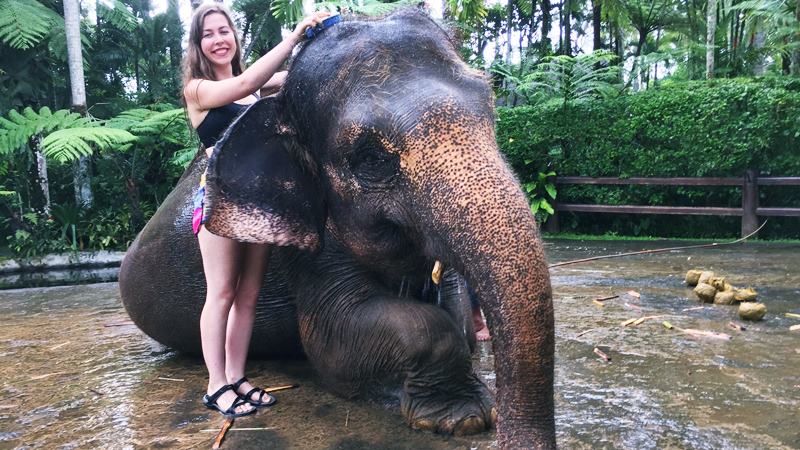 Lazy Cave River Tubing + Bathing Elephant Tour 3